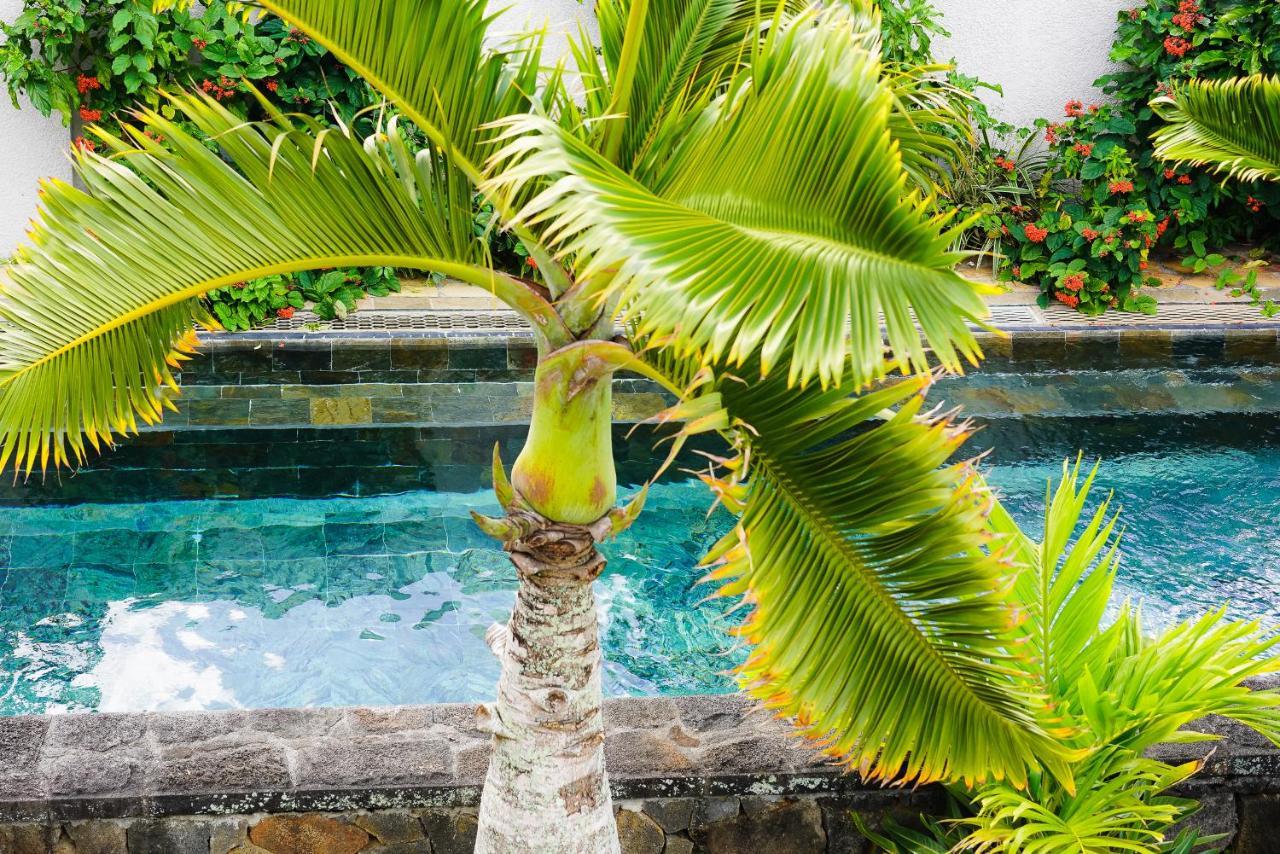 Luxury Villa L'Ile Maurice Pointe aux Canonniers Eksteriør bilde